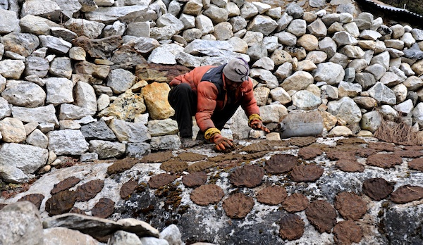 NEPL エベレスト街道 2