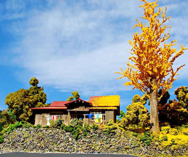 イチョウの木がある家