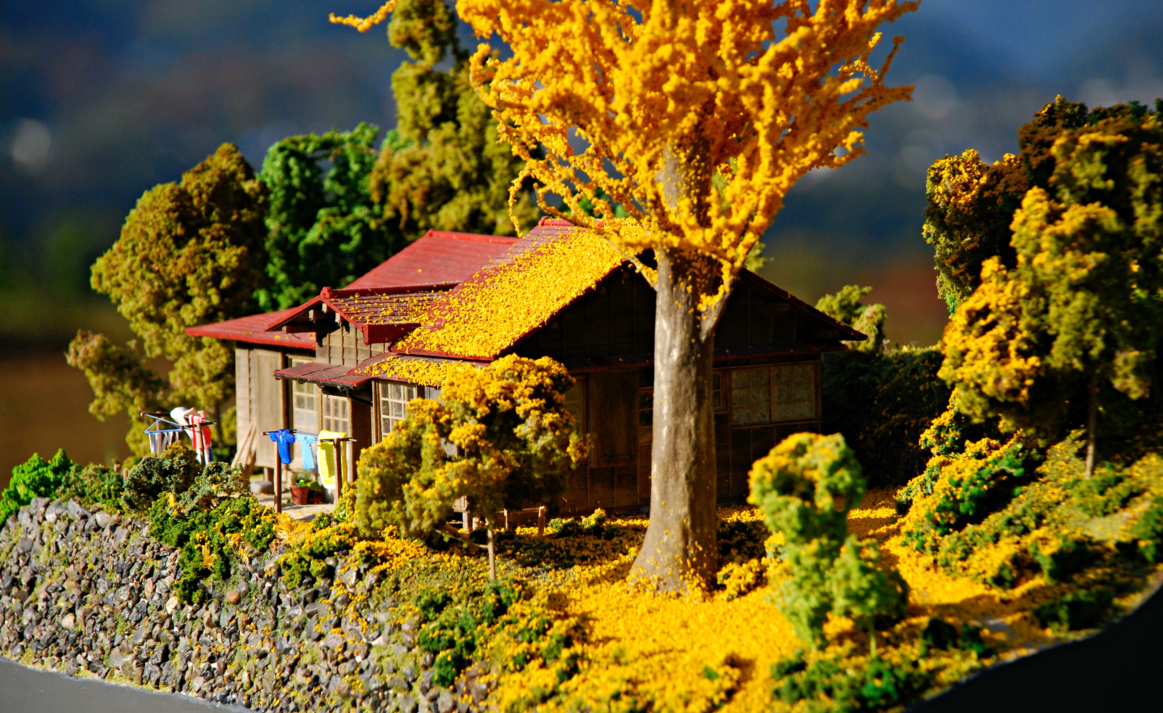 イチョウの木がある家