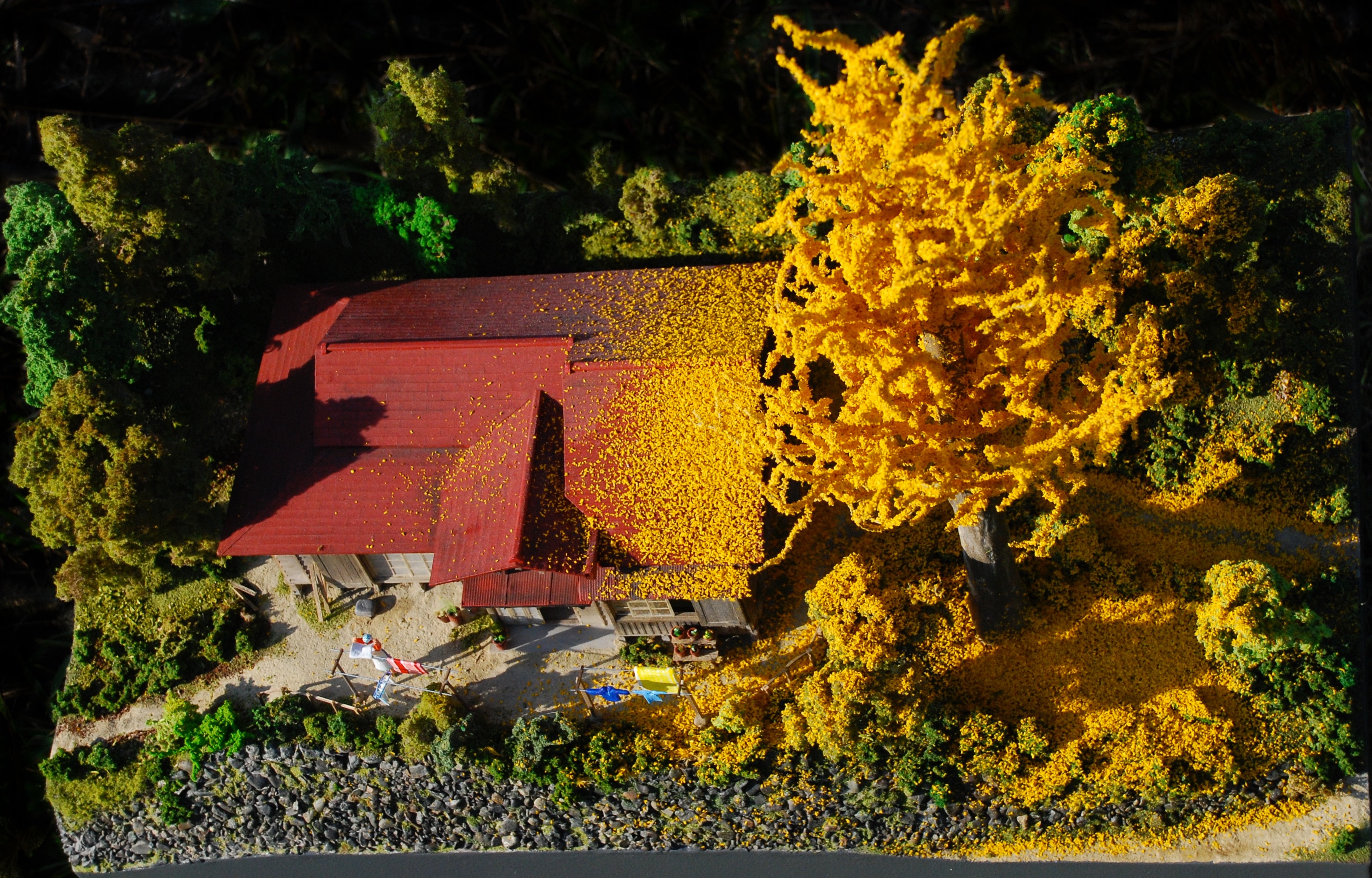 イチョウの木がある家