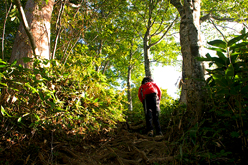 尾根を登る