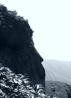 白毛門付近の岩（顔に見える）